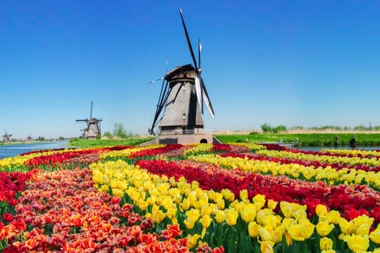 Belgie -  Nizozemí - Benelux - květinové korzo