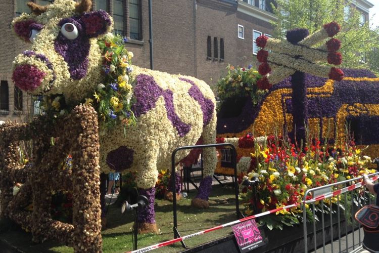 Belgie -  Nizozemí - Benelux - květinové korzo